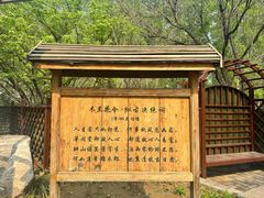 -尚庄度假村·庭台树下·户外烧烤·团建CS·轰趴营地(上庄水库店)