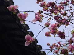 -狼山风景名胜区