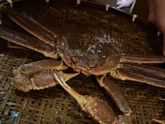 松叶蟹套餐-綱元·海鲜豆捞(明州里店)