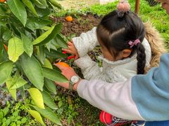 -前小桔亲子创意农场·草莓采摘·露营烧烤