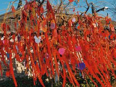 -东台西溪天仙缘景区