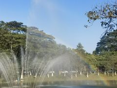 -东莞植物园