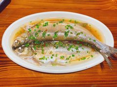 太湖清蒸白鱼-呼吸森林·生态农庄农家乐私房菜