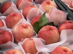 -老袁家蜜桃农场·阳山水蜜桃