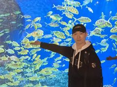 -成都浩海立方海洋公园