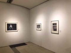 -龙环葡韵住宅式博物馆