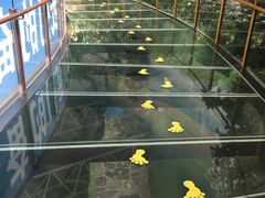 -吉林省自然博物馆