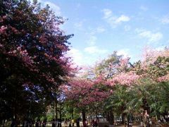 -华南师范大学(广州大学城校区)