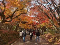 -常寂光寺