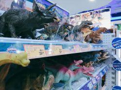 -玩具反斗城(正大广场店)