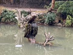-汇龙潭