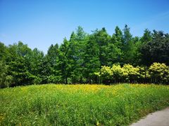 -梁鸿国家湿地公园
