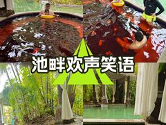 -碧桂园润杨溪谷温泉酒店