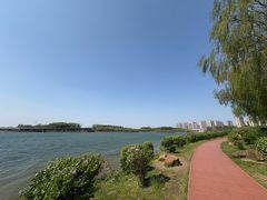 -丁香湖公园