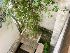 -月栖华明-云间草堂清茶馆(泗泾古镇店)