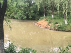 -中国扬子鳄村