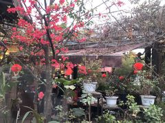 -拈一筷子·宜宾江湖菜(总店)