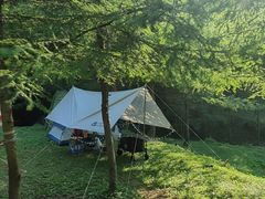 -武陵山森林公园