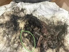 -御面斋精品面馆