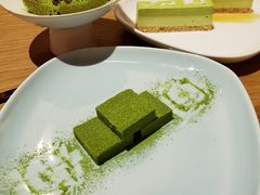 -柴务处·柴犬主题狗咖