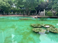 -静安公园(静安寺街道)