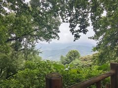 -广州市石门国家森林公园