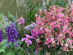 -人民公园(罗湖区)