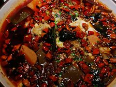 -雲蜀龙阁·金牌水煮鱼(方庄店)