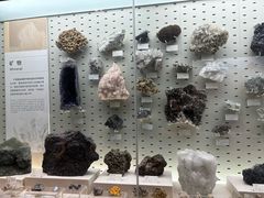 -浙江自然博物院(杭州馆)