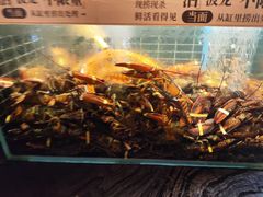 -成都银泰中心in99