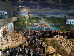 -自贡恐龙博物馆