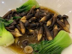 鸡纵菌-新灿记大酒楼
