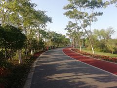 -上海长兴岛郊野公园