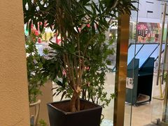 -吴家·非遗淮扬小馆(镇江万达广场店)