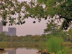 -广州国际生物岛