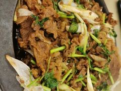 烤精品羊肉-烤肉宛饭庄(北新桥店)