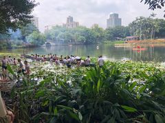 -荔湾湖公园