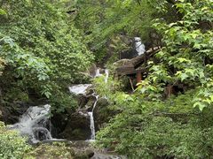 -大围山国家森林公园
