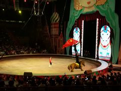 -俄罗斯国家大马戏团