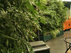 -新竹里馆·花园餐厅(兴苑路店)