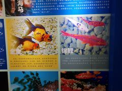-上海海洋大学鱼文化博物馆(军工路校区)