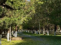 -长白岛森林公园