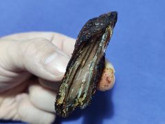 -都士牧人现烤牛肉干
