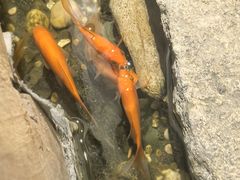 -邈墨茶馆(凤起路店)