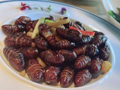 -同喜烤鸭店(光芒店)