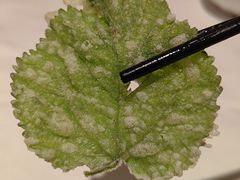 -祥记·国宴豫菜·经典粤菜(郑东新区新长安店)