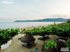 -渔家火锅·海鲜自助餐·演艺(亚龙湾天域酒店)