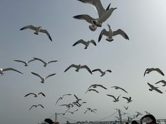 -星海广场