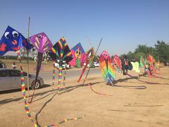 -汉长安城未央宫国家考古遗址公园