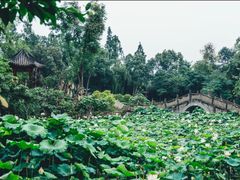 -四川大学(华西校区)